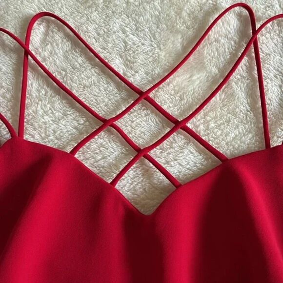 Evan Picone Dress Size 12 Red Fit and Flare Formal Holiday Dress - Picture 5 of 13